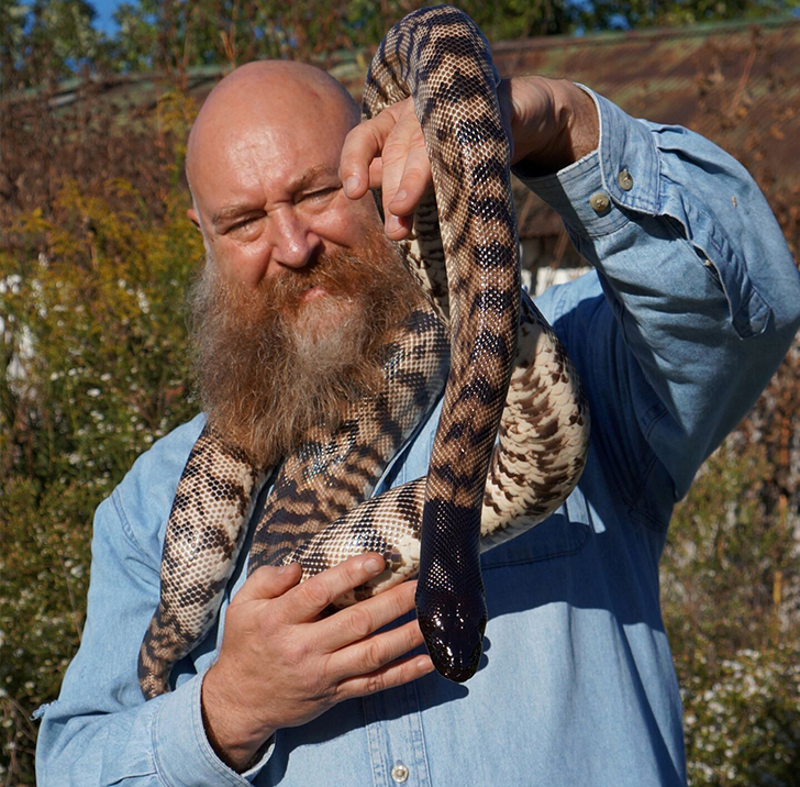 Peter holding an Australian Blackheaded Python during a program