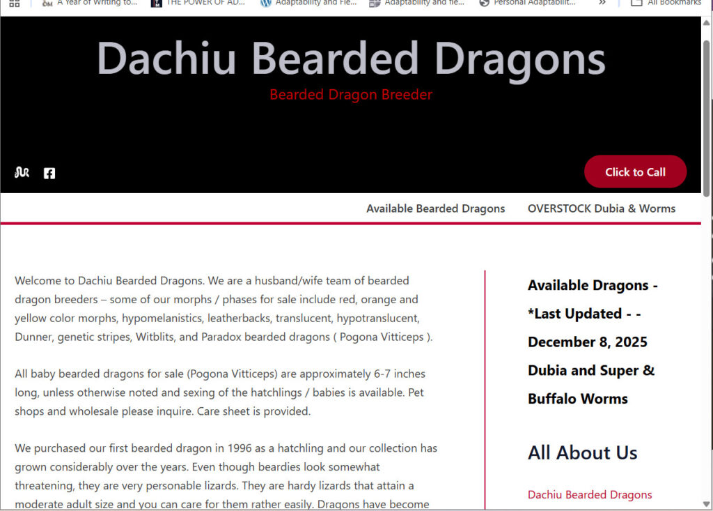 Custom WordPress ecommerce site for Dachiubeardeddragons.com featuring product listings and a streamlined shopping experience.