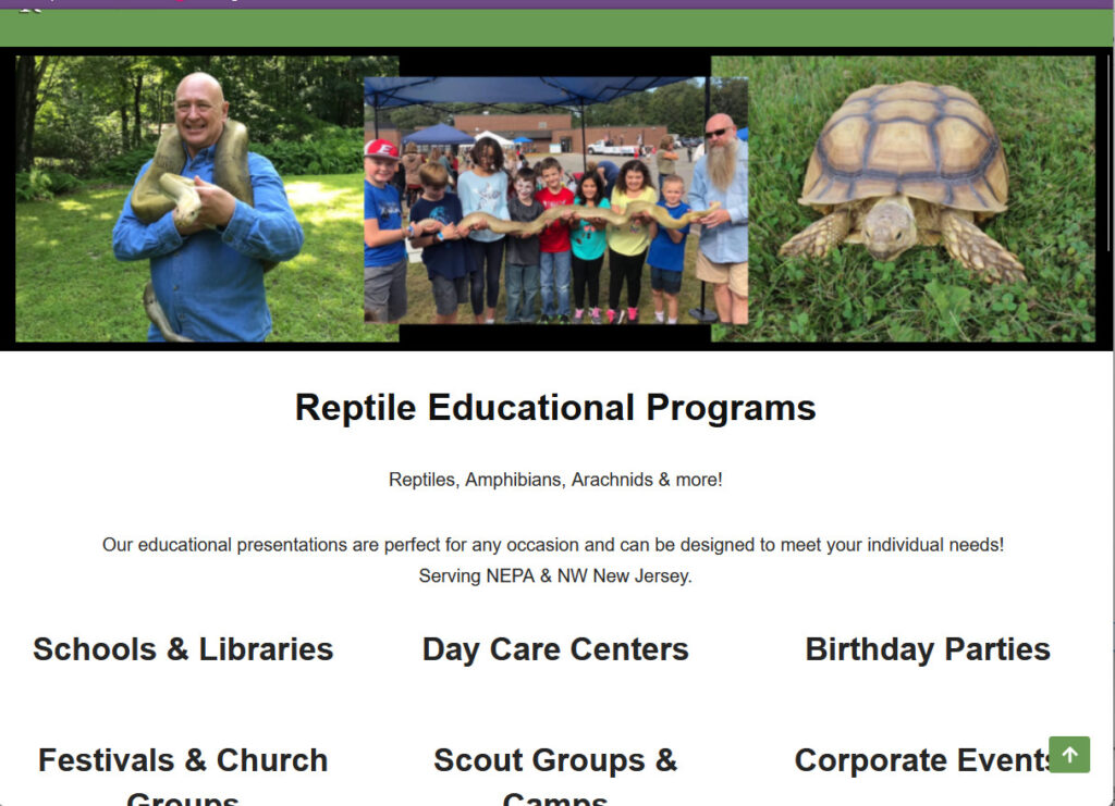 Rebuilt WordPress website for Peter’s Reptile Spa after plugin failure, preserving the original look with improved stability.